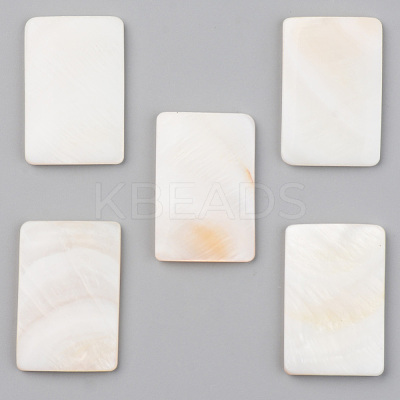 Natural Freshwater Shell Cabochons SHEL-S276-105B-1