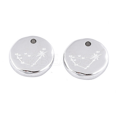 Non-Tarnish 316 Surgical Stainless Steel Charms STAS-S116-418C-P-1