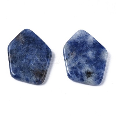 Natural Blue Spot Jasper Cabochons G-S359-323B-1