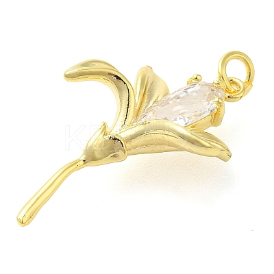 Rack Plating Brass Cubic Zirconia Pendants KK-S396-33G-1