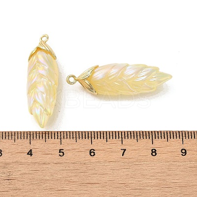 Rainbow Iridescent Plating Resin Pendants LS-RESI-C047-03C-G-1
