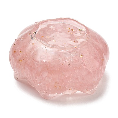 Resin Incense Burners DJEW-H012-01A-1