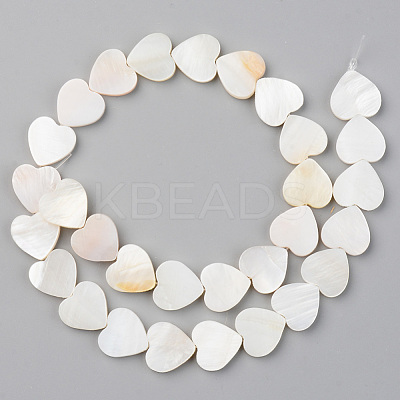 Natural Freshwater Shell Beads Strands X-SHEL-S276-87-1