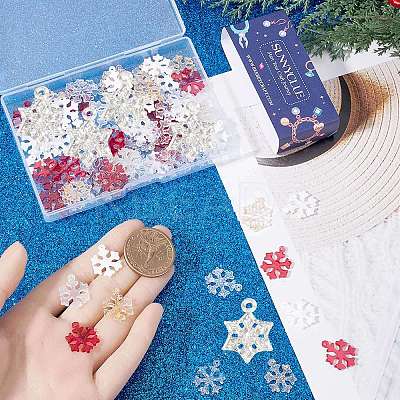 120Pcs 6 Colors Transparent Resin Pendants FIND-SC0010-13-1