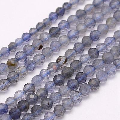 Natural Cordierite/Iolite/Dichroite Beads Strands G-F509-15-2mm-1
