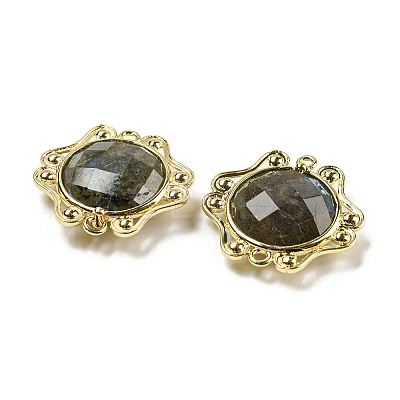 Natural Labradorite Faceted Connector Charms G-M431-09G-02-1