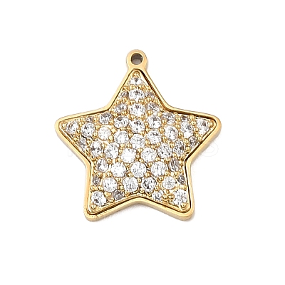 304 Stainless Steel Micro Pave Cubic Zirconia Charms LS-STAS-I356-04G-03-1