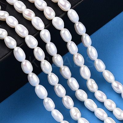 Natural Cultured Freshwater Pearl Beads Strands LS-PEAR-N012-04K-1