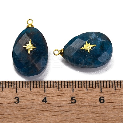 Natural Apatite Pendants G-B089-01G-03-1