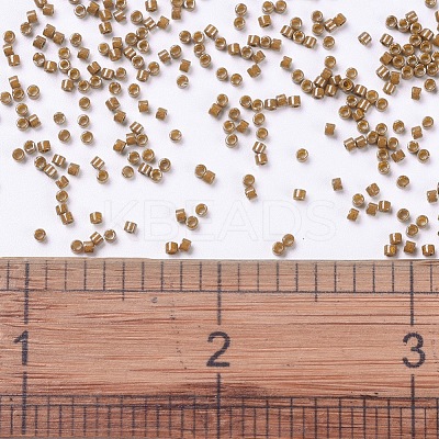 MIYUKI Delica Beads X-SEED-J020-DB0664-1