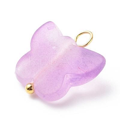 Frosted Two Tone Spray Painted Transparent Acrylic Pendants PALLOY-JF01810-02-1