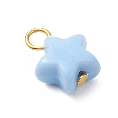 Opaque Acrylic Pendants PALLOY-JF04199-01-1