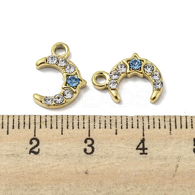 304 Stainless Steel Charms X-STAS-L022-060G-01-1