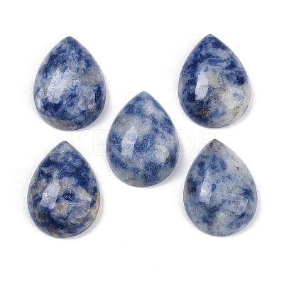 Natural Blue Spot Jasper Cabochons G-H094-01A-22-1