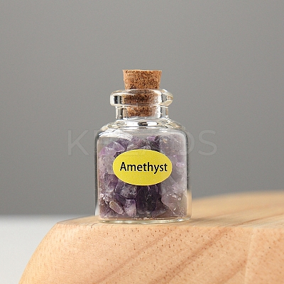 Natural Amethyst Display Decorations DJEW-PW0009-013I-1