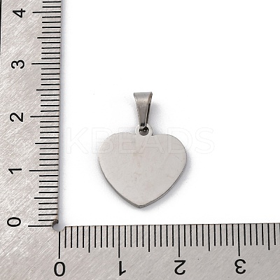 304 Stainless Steel Charms STAS-Z114-03P-01-1