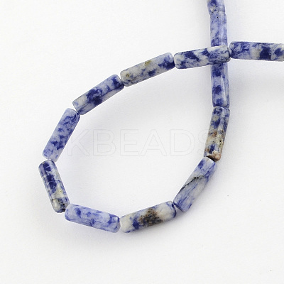 Natural Blue Spot Gemstone Beads Strands G-R181-16-1