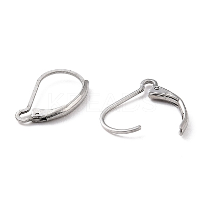 Non-Tarnish 304 Stainless Steel Leverback Earring Findings LS-X-STAS-K233-04P-1