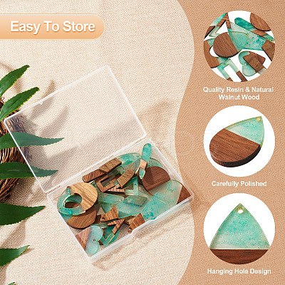 20Pcs 10 Styles Transparent Resin & Walnut Wood Big Pendants RESI-TA0002-99A-1
