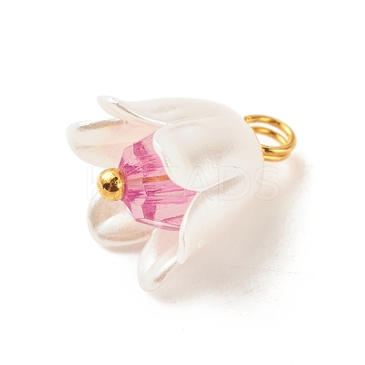 Spray Painted ABS Plastic Imitation Pearl Charms PALLOY-JF01603-04-1