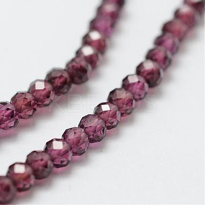 Natural Garnet Bead Strands G-P271-3mm-08-1