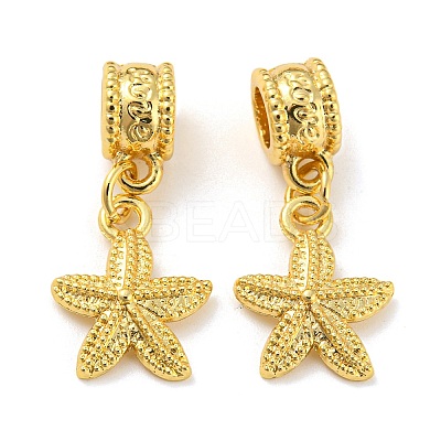 Tibetan Style Alloy European Dangle Charms PALLOY-F199-41G-1