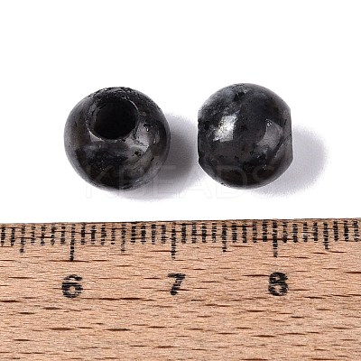 Natural Larvikite European Beads G-Q607-02T-1