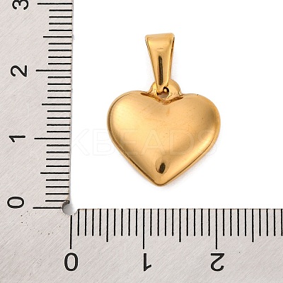 304 Stainless Steel Pendants STAS-P278-01E-G-1-1