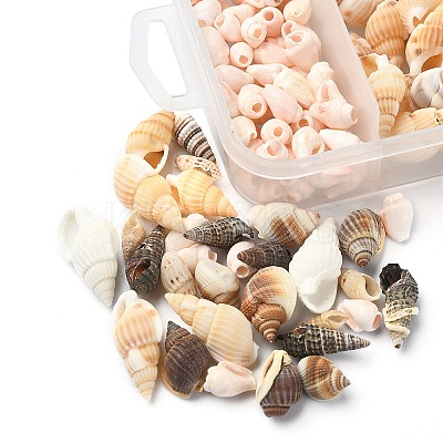 5 Styles Mixed Natural Shell Beads SSHEL-YW0001-04-1