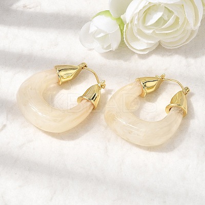 Brass Resin Hoop Earrings EJEW-P333-11D-G01-1