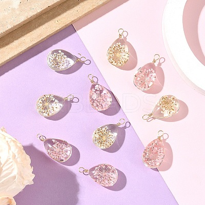 10Pcs 2 Colors Glass Pendants GLAA-YW0005-46-1