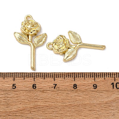 Alloy Pendants FIND-Z095-12G-1