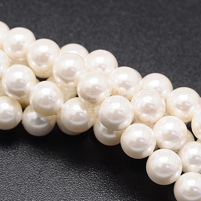 Shell Pearl Beads Strands X-BSHE-E008-10mm-12-1