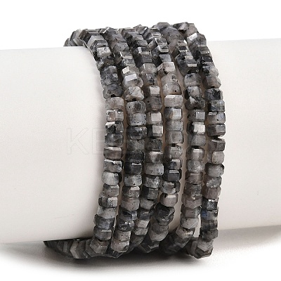 Natural Larvikite Beads Strands G-G345-C05-2x4mm-1