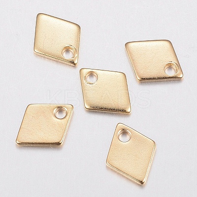 304 Stainless Steel Charms LS-X-STAS-H436-53-1