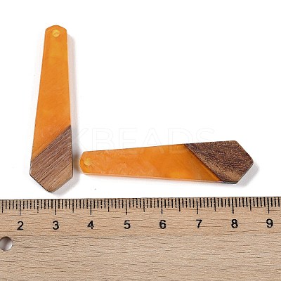 Resin & Wood Pendants WOOD-F015-05E-1