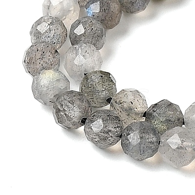 Natural Labradorite Beads Strands G-H336-A08-05-1