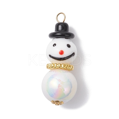 Handmade Lampwork Pendants PALLOY-JF04350-01-1