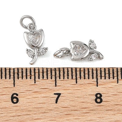 SHEGRACE Brass Micro Pave Clear Cubic Zirconia Charms XGRQ4N295-706P-1