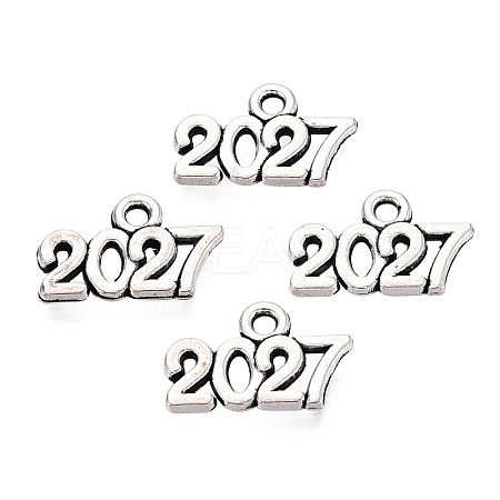 New Year's Day Tibetan Style Alloy Charms FIND-N014-01AS-1