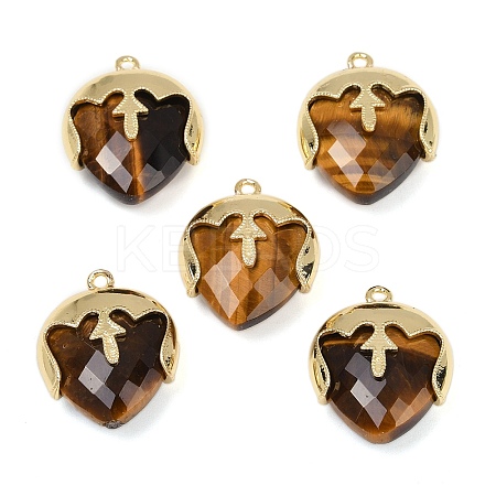 Natural Tiger Eye Faceted Pendants G-K347-09G-02-1
