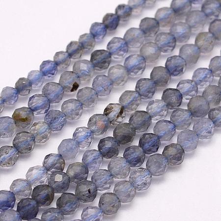 Natural Cordierite/Iolite/Dichroite Beads Strands G-F509-15-2mm-1