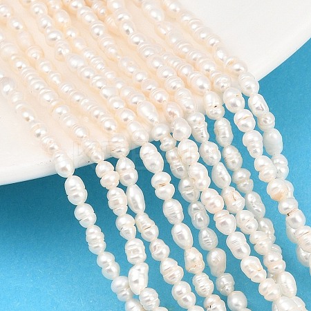 Natural Cultured Freshwater Pearl Beads Strands PEAR-D003-01D-04-1