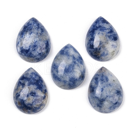 Natural Blue Spot Jasper Cabochons G-H094-01A-22-1