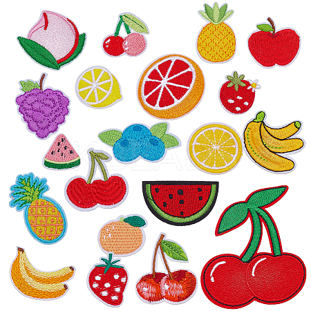 20Pcs 20 Styles Fruits Computerized Embroidery Cloth Iron on/Sew on Patches PATC-AR0001-18-1