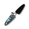 2Pcs Natural Abalone Shell/Paua Shell Pendants SHEL-A005-01E-2