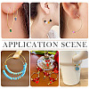 56Pcs 7 Styles 316 Surgical Stainless Steel Hoop Earrings Findings STAS-TA0002-84-8