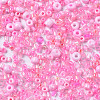 Glass Seed Beads SEED-S059-010-3