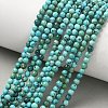 Natural HuBei Turquoise Beads Strands G-P629-D01-01-2