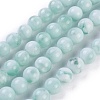 Natural Glass Beads Strands G-I247-15D-1